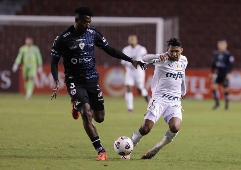 Mr pacho app, mr pacho casino