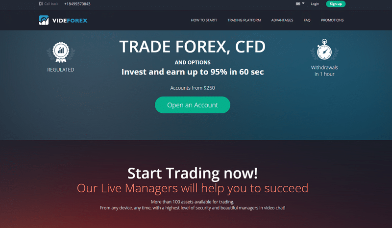 VideForex Trading System Summary